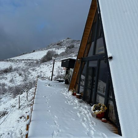 Rimeti Dream View Of Apuseni 빌라 외부 사진