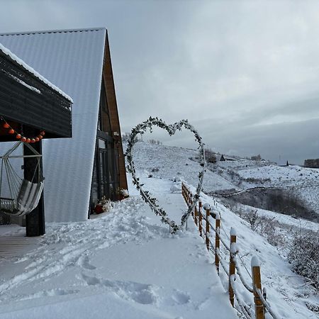 Rimeti Dream View Of Apuseni 빌라 외부 사진