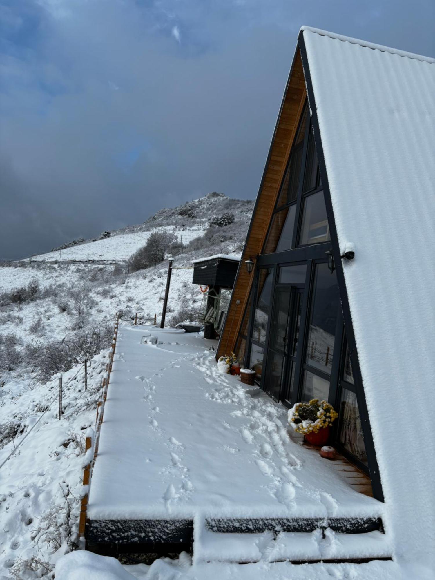 Rimeti Dream View Of Apuseni 빌라 외부 사진