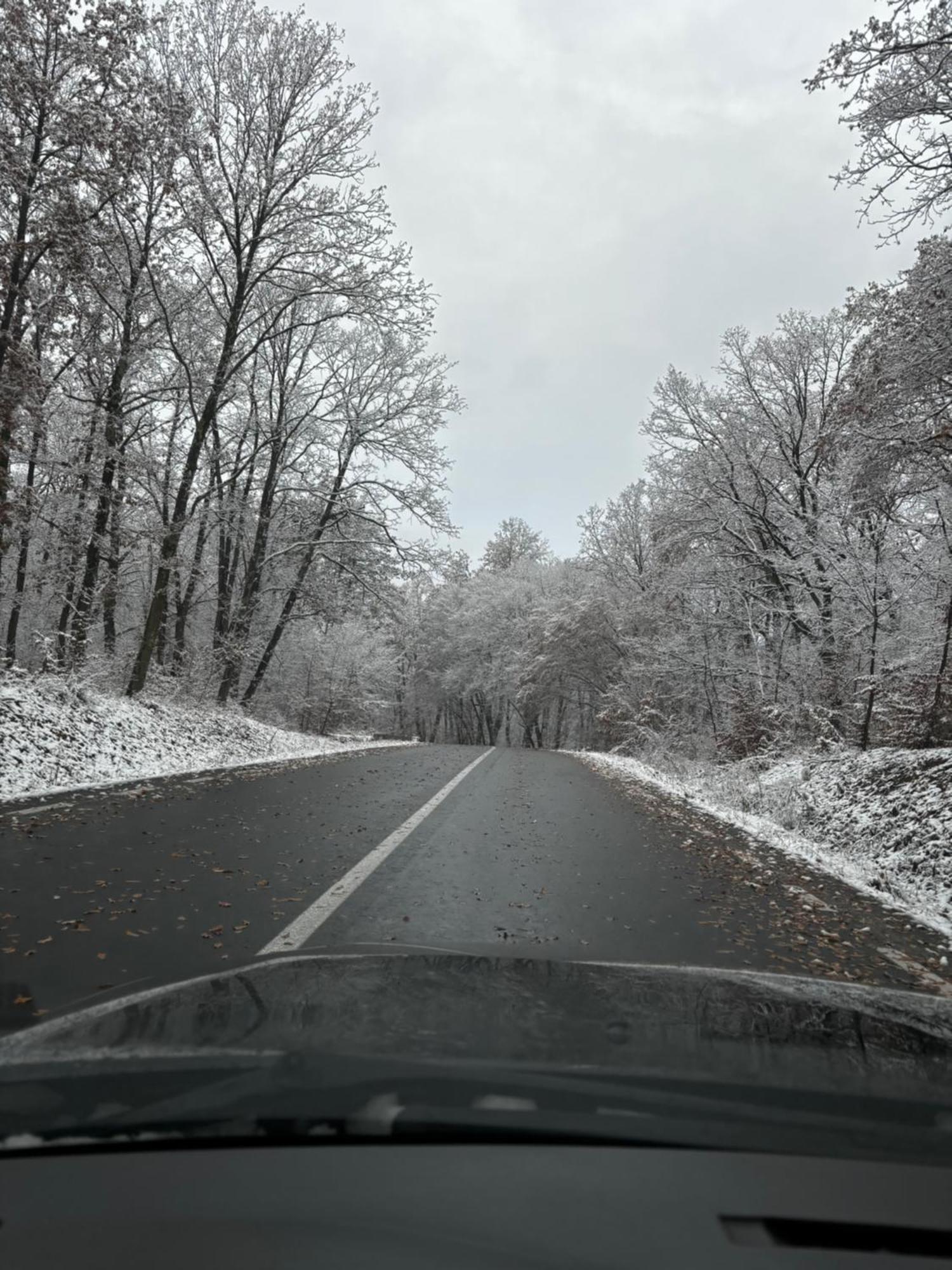 Rimeti Dream View Of Apuseni 빌라 외부 사진